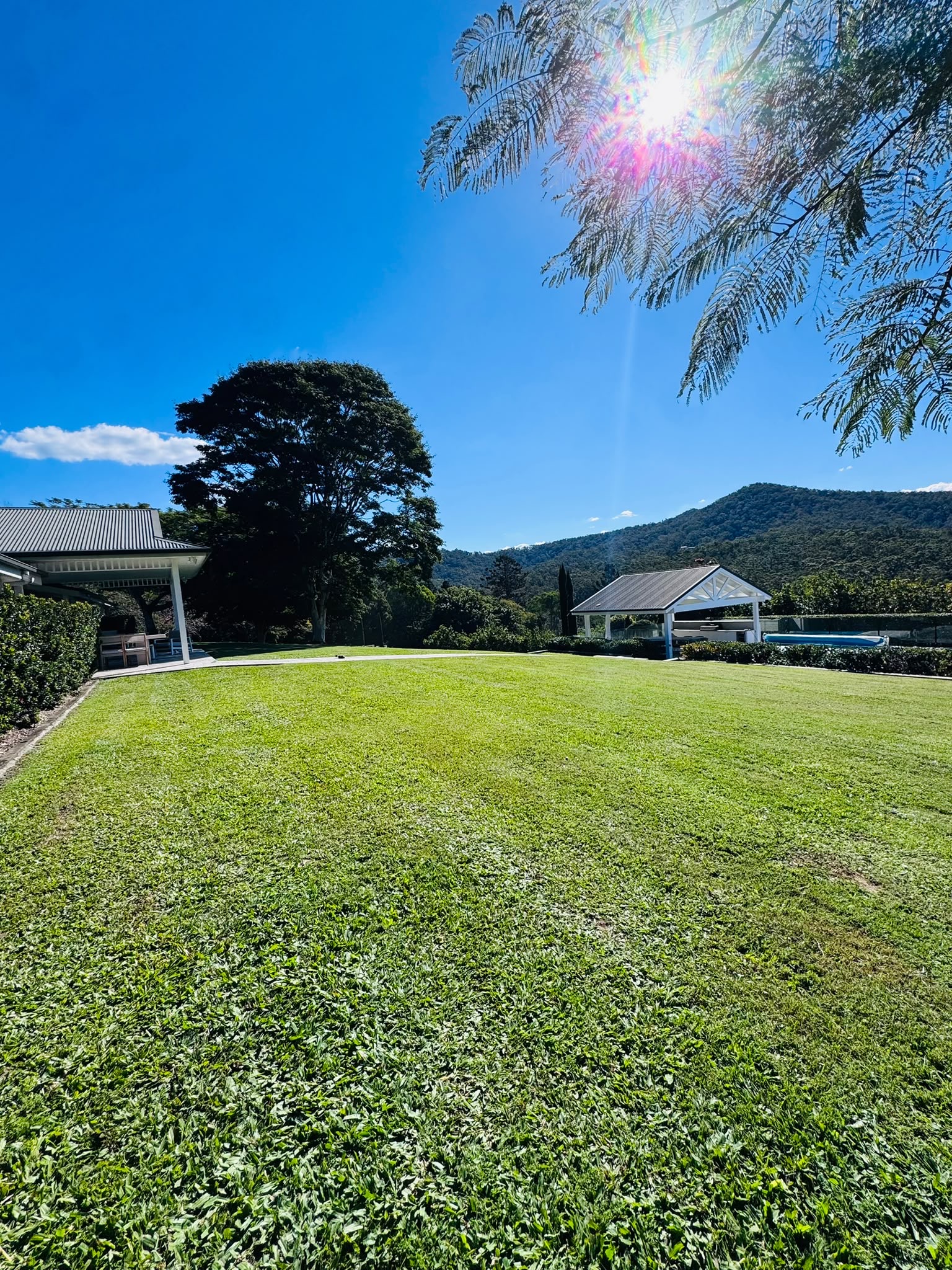 Lawn detail 13
