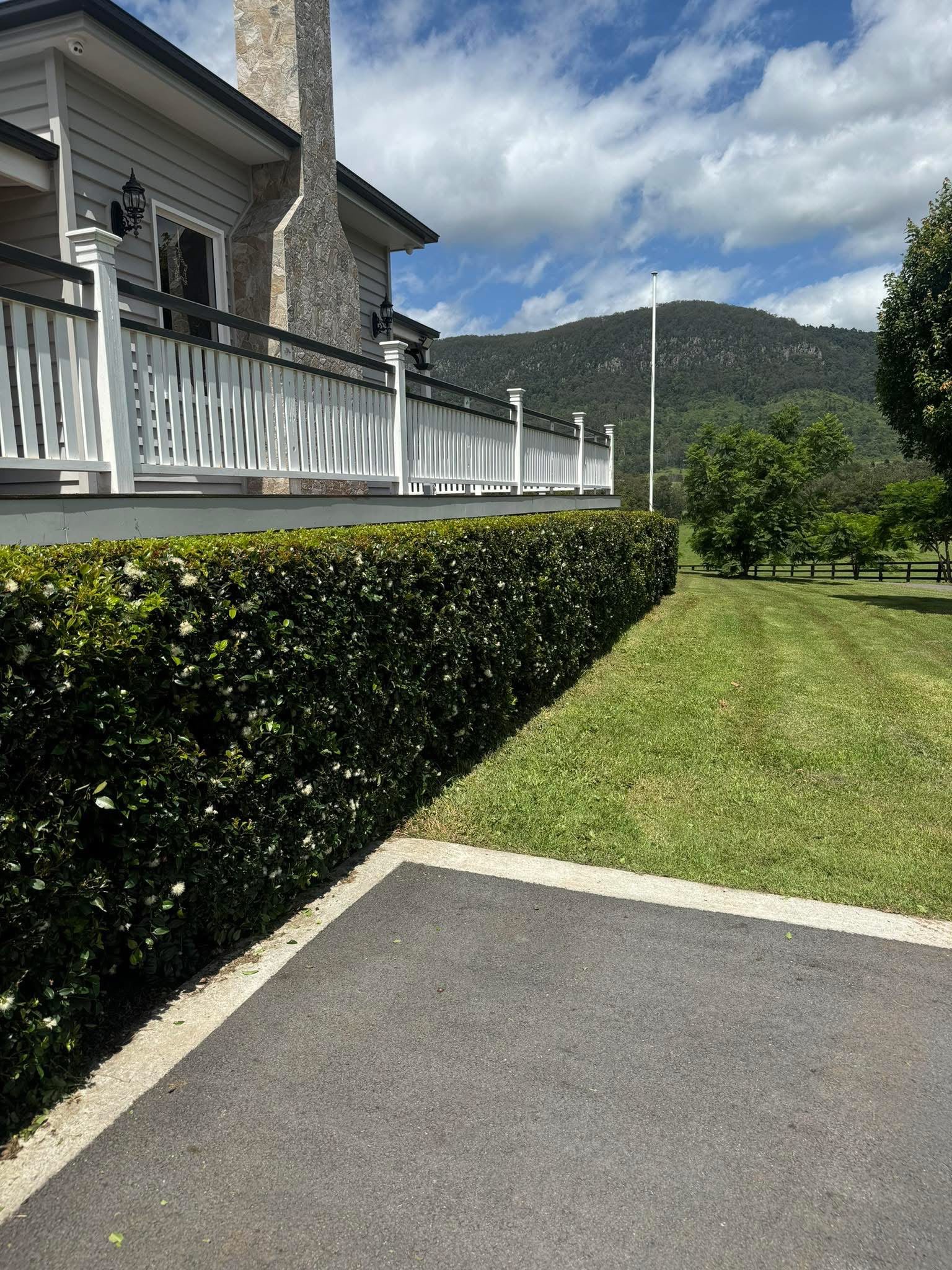 Lawn detail 16