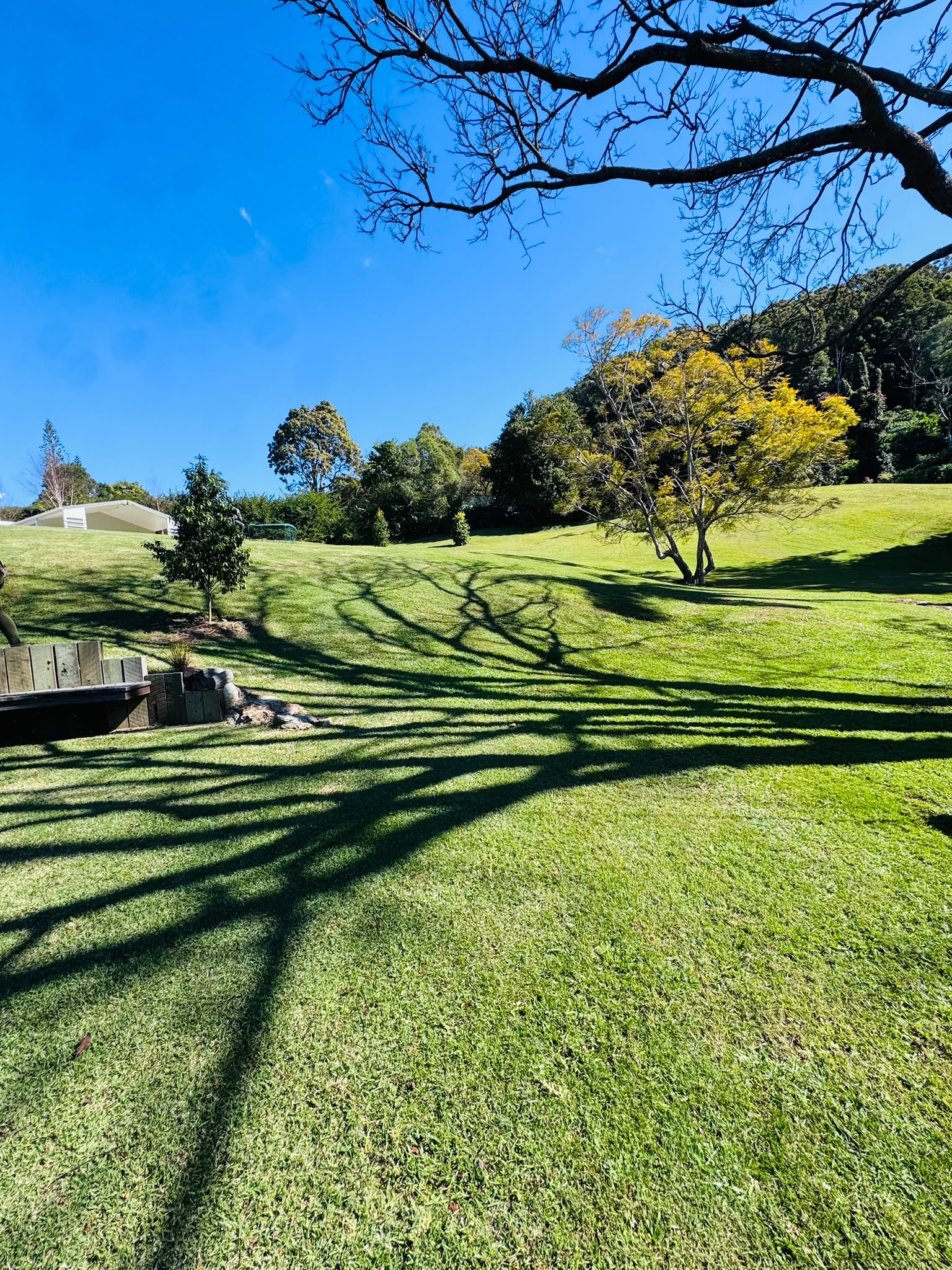 Lawn detail 19